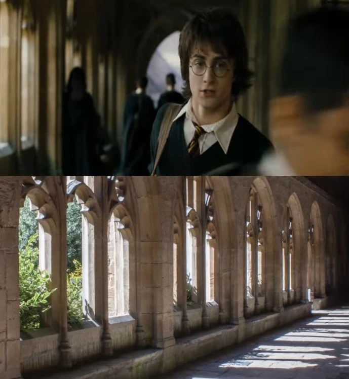 New college harry potter